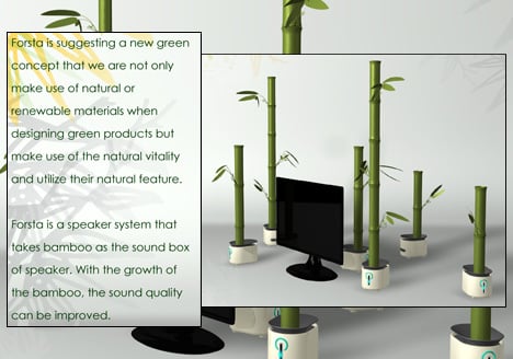 种植竹子以获得更好的声音插图1锦客设计服务-工业设计公司