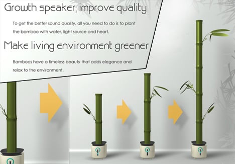 种植竹子以获得更好的声音插图2锦客设计服务-工业设计公司