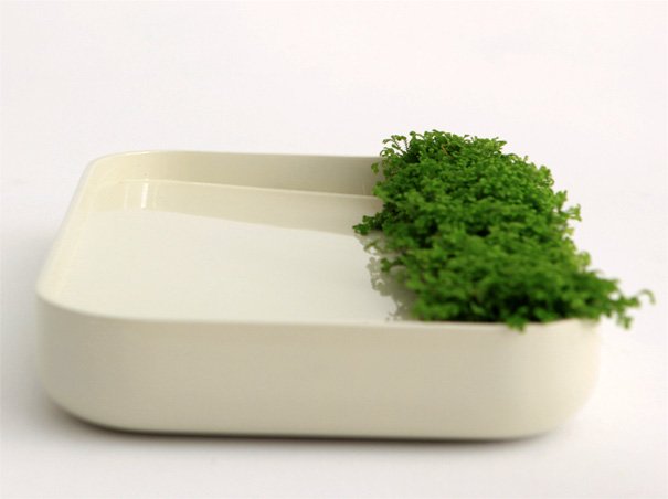 海绵和绿色蔬菜会让人口渴…。插图5锦客设计服务-工业设计公司
